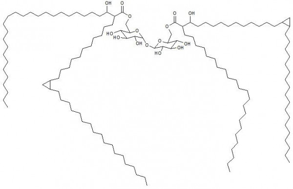 6,6&#039;-Trehalose Dimycolate (Cord-Factor, TDM)