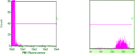 NaV1.7 - HEK293 recombinant human stable cell line (2x10(6) cells)
