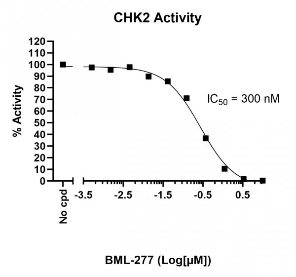 CHK2 Kinase Assay Kit