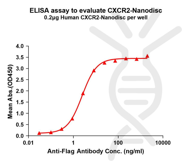 CXCR2 (human) full length protein-synthetic nanodisc