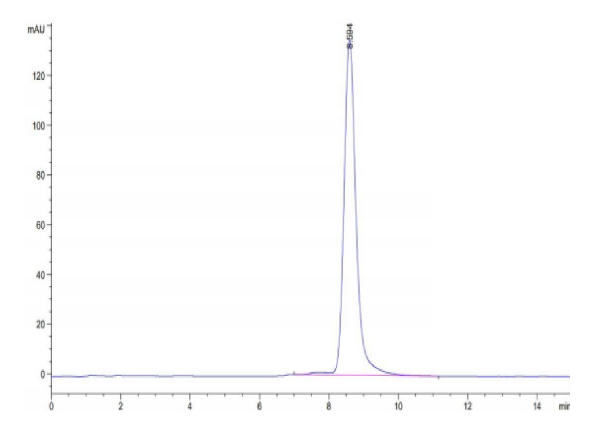 Mouse CD163 Protein