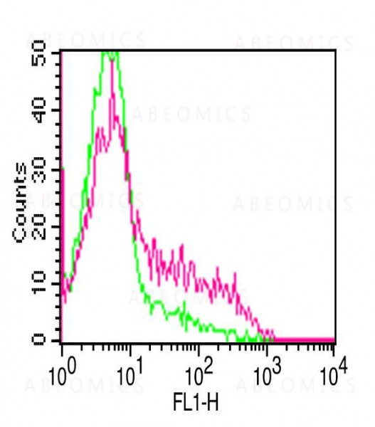 Anti-hCD25 (Clone: 7G7B6 ) FITC Conjugated