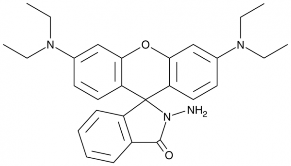 Rhodamine B hydrazide