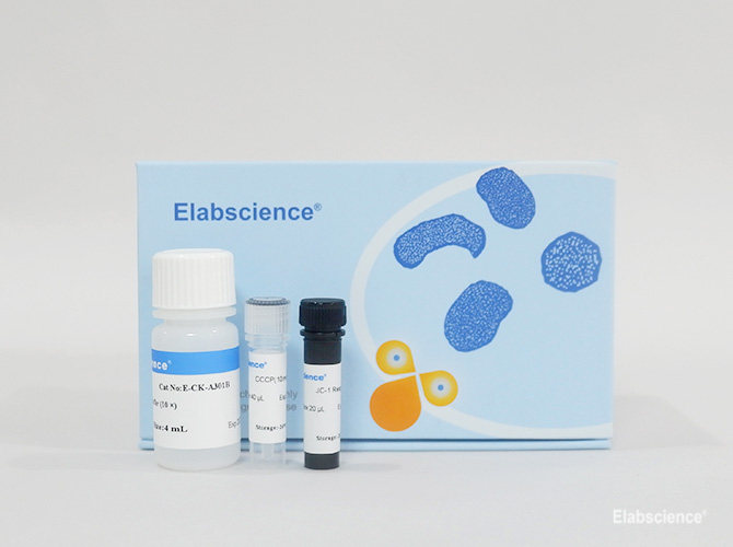 Mitochondrial Membrane Potential Assay Kit (with JC-1) | Elabscience ...