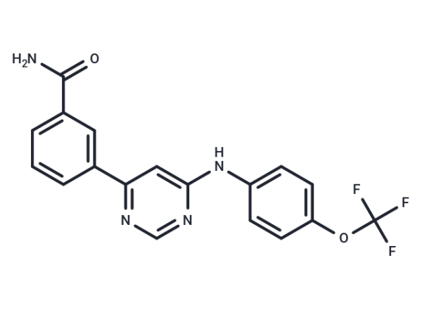 GNF-2