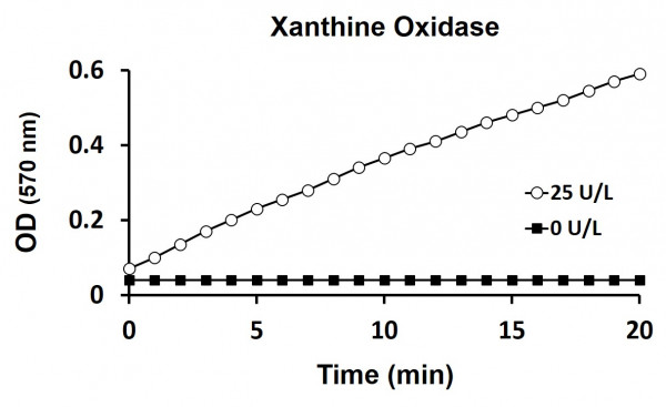 Xanthine Oxidase Activity Assay Kit (Colorimetric)