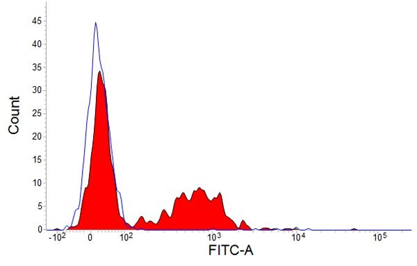 Anti-CD39 (low endotoxin), clone A1