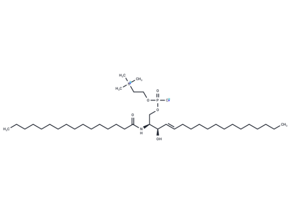 C16 Sphingomyelin (d18:1/16:0)