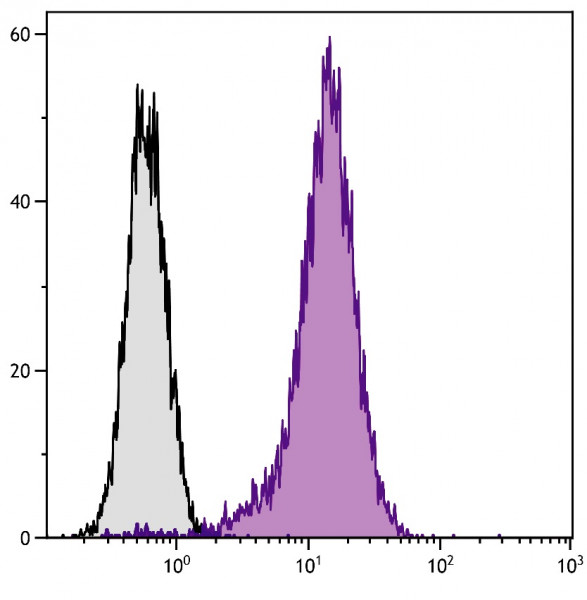 Anti-CD81 (PE), clone 2F7