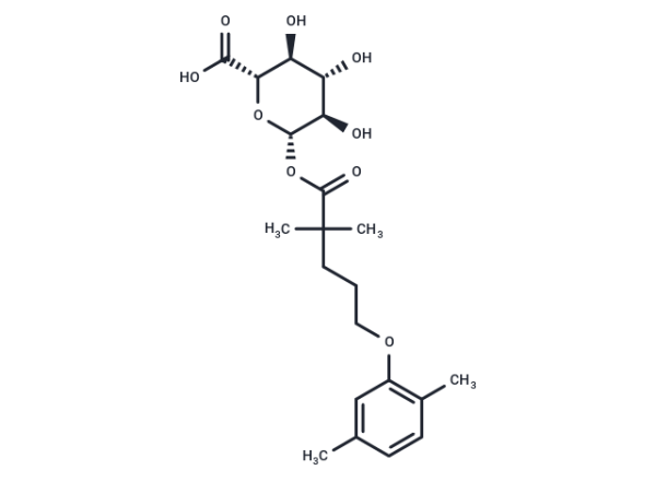 Gemfibrozil 1-O-beta-glucuronide