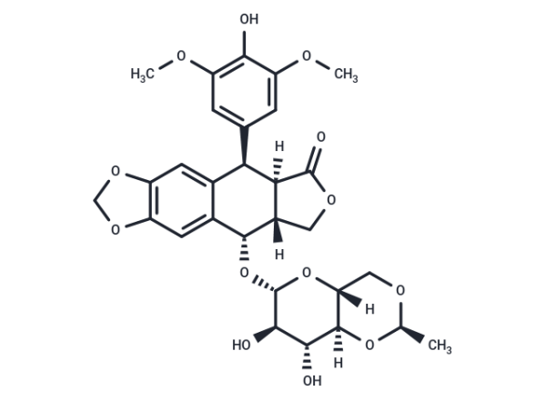 Etoposide