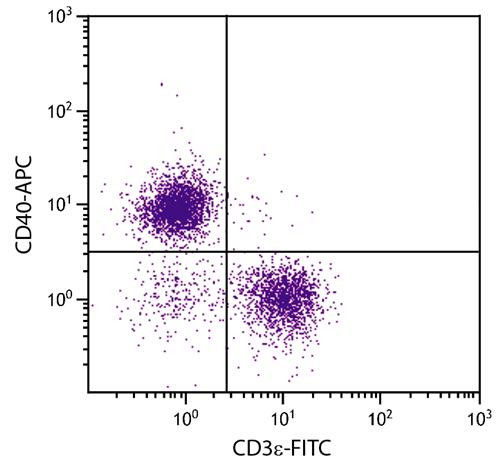 Anti-CD40 (APC), clone 1C10