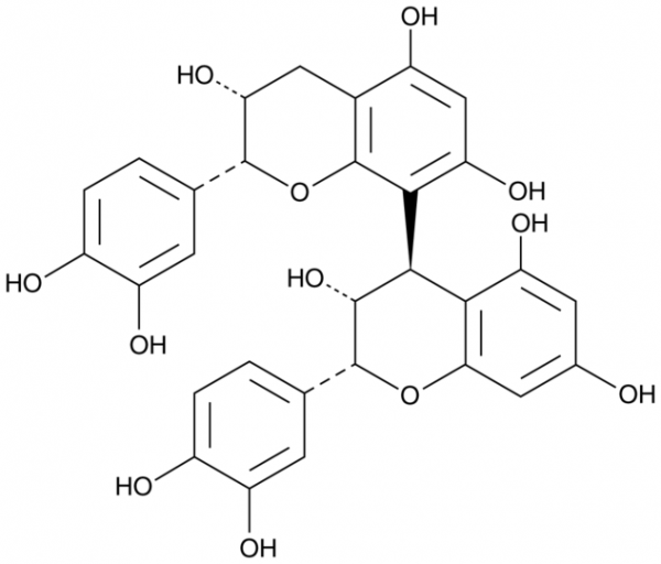 Procyanidin B2