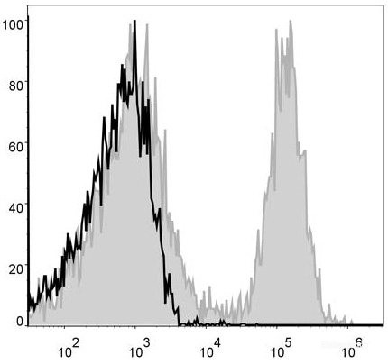 APC Anti-Mouse CD19 Antibody[1D3]