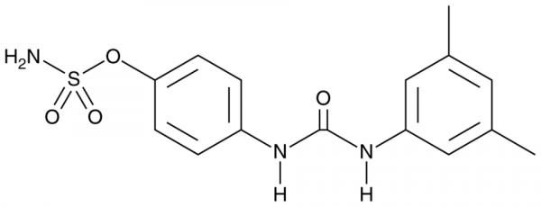 CAIX Inhibitor S4