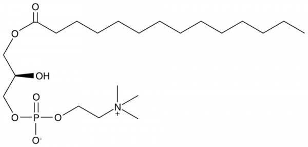 1-Myristoyl-2-hydroxy-sn-glycero-3-PC