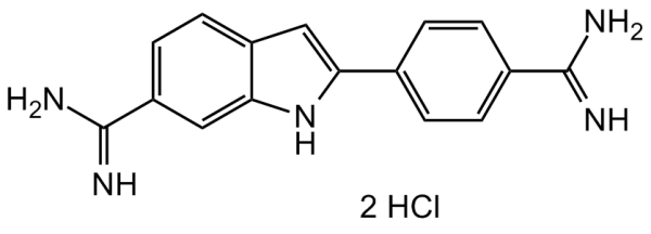 DAPI dihydrochloride Solution (10 mM in water)