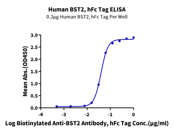 Human BST2 Protein