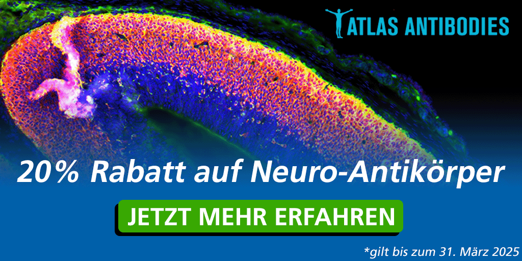 Atlas Antibodies Neuro-Antikörper