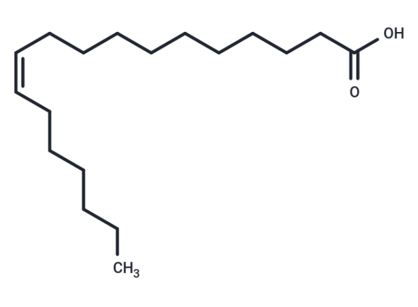 cis-Vaccenic acid