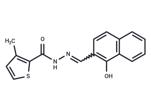 PCNA-I1