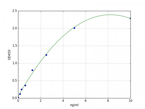 Human PDE4B / cAMP-specific 3&#039;,5&#039;-cyclic phosphodiesterase 4B ELISA Kit