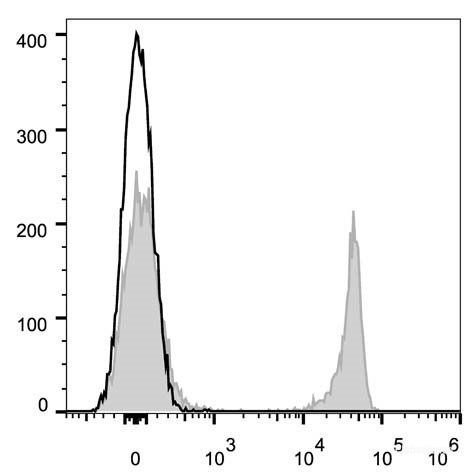 Anti-Mouse CD8a (AF647 Conjugated)[53-6.7], clone 53-6.7