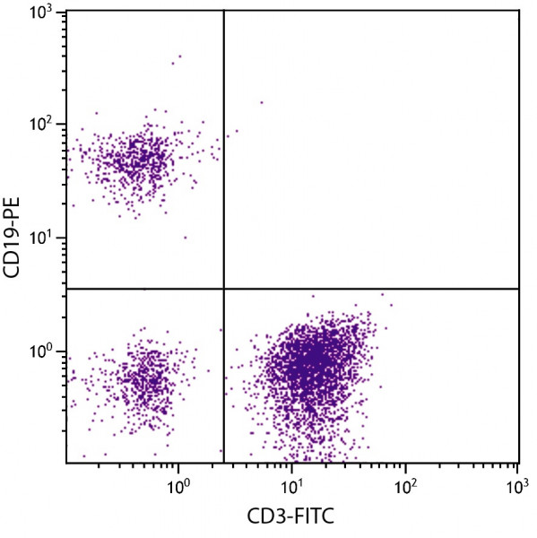 Anti-CD19 [SJ25-C1], F(ab&#039;)2 fragment (PE), clone SJ25-C1