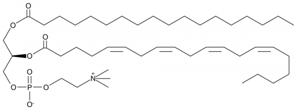 1-Stearoyl-2-Arachidonoyl-sn-glycero-3-PC