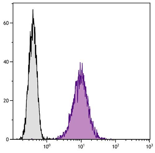 Anti-CD80 (FITC), clone 1G10