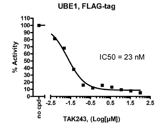 UBE1 Inhibitor Screening Assay Kit