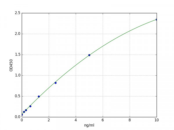 Human CYP1B1 ELISA Kit