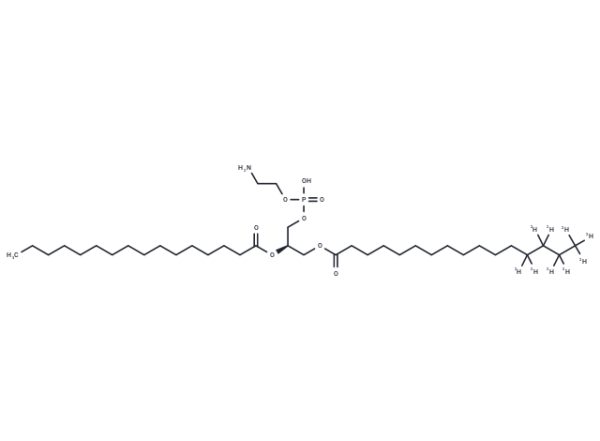 1-Palmitoyl-d9-2-Palmitoyl-sn-glycero-3-PE