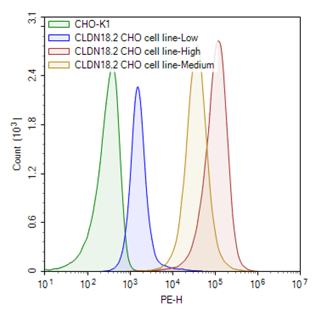 Claudin-18 Isoform 2 CHO Cell Line | BPS Bioscience | Biomol.com