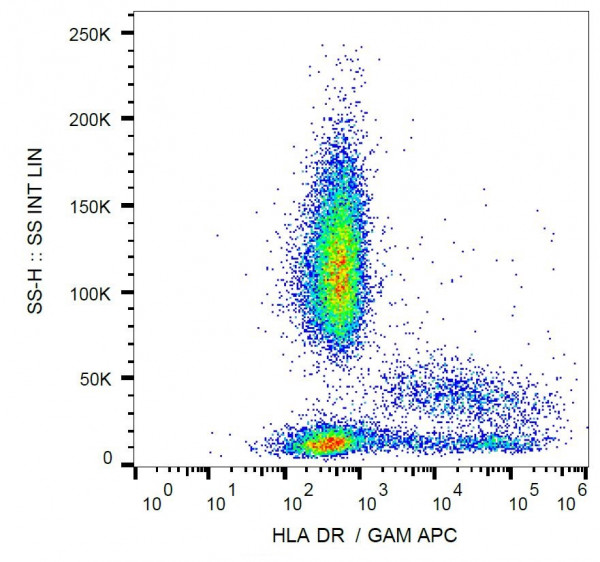 Anti-HLA-DR, clone L243