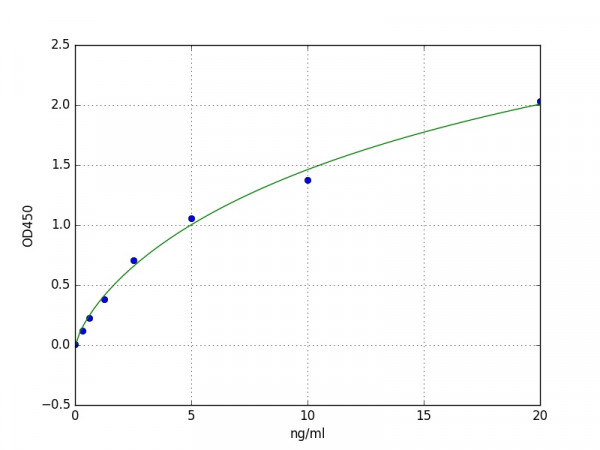 Human BLVRB / Biliverdin Reductase B ELISA Kit