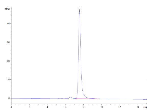 Human CD2/SRBC Protein