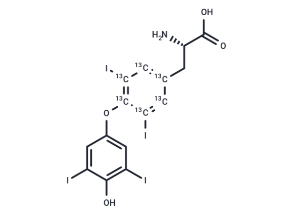 L-Thyroxine-13C6