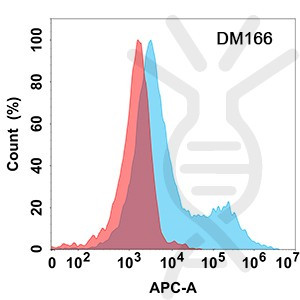 Anti-CD37 antibody(DM166), Rabbit mAb