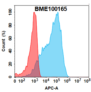 Anti-Mesothelin VHH-human IgG1 Fc