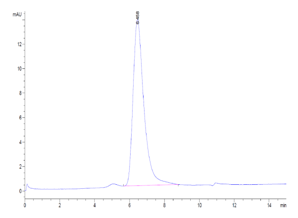 Human CD30/TNFRSF8 Protein