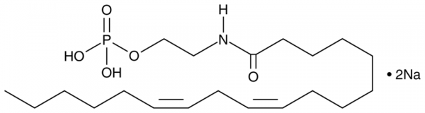 Linoleoyl Ethanolamide Phosphate