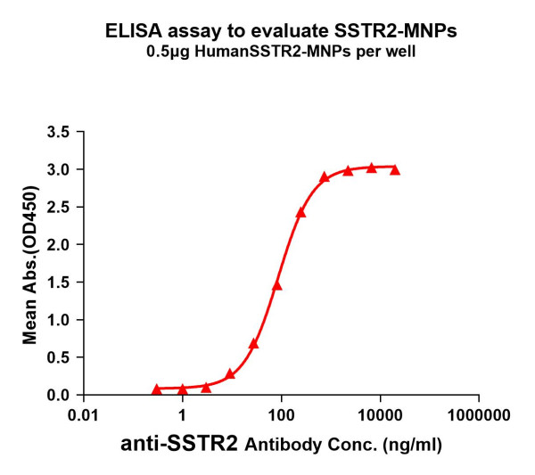 SSTR2 (human) full length protein-MNP