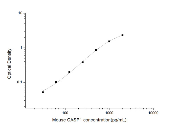 Anti-Caspase-1 (Capture/Detector)