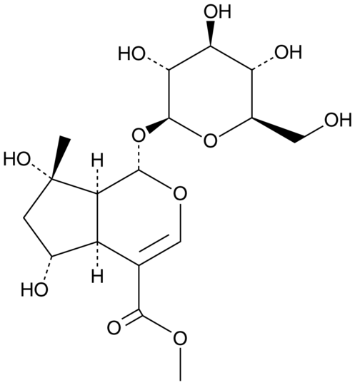 Shanzhiside methyl ester