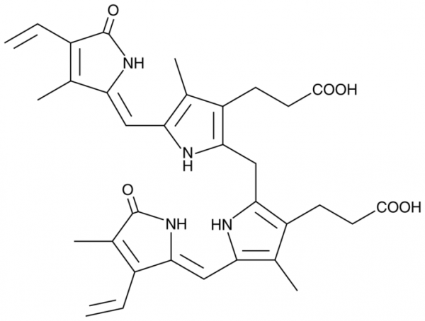 Bilirubin