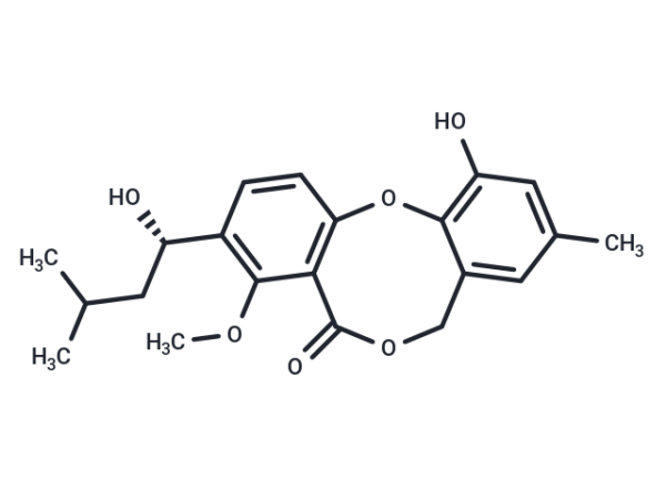 Penicillide