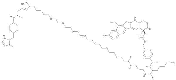 CL2A-SN-38 (dichloroacetic acid salt)