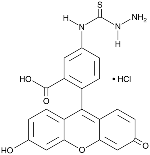 Fluorescein-5-thiosemicarbazide