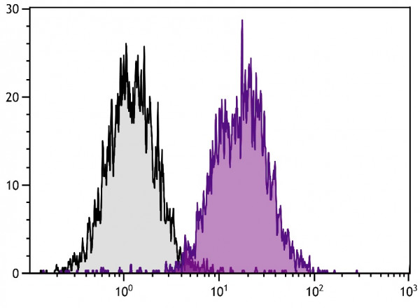 Anti-MHC Class 1 H2 Db (PE), clone 28-14-8